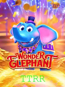 WonderElephant: Descubra o Mundo Fascinante de TTRR